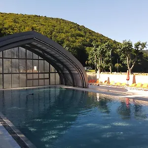 camping-domaine-du-lac-chambon.hotels-rhonealpes.com/